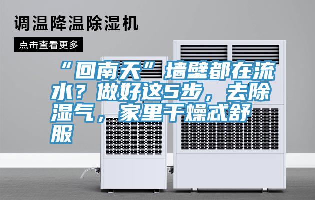 “回南天”墻壁都在流水？做好這5步，去除濕氣，家里干燥忒舒服