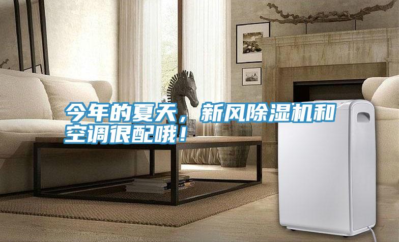 今年的夏天,新風(fēng)除濕機(jī)和空調(diào)很配哦!