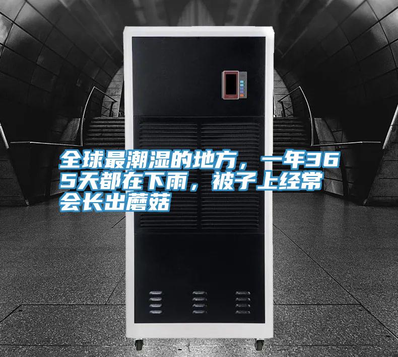 全球最潮濕的地方,一年365天都在下雨,被子上經(jīng)常會長出蘑菇