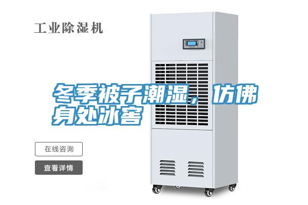 冬季被子潮濕,仿佛身處冰窖