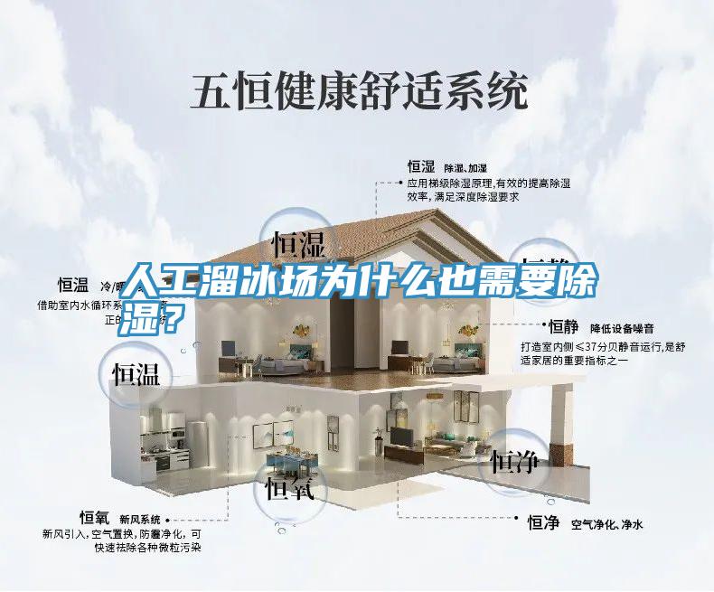 人工溜冰場為什么也需要除濕?