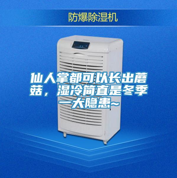 仙人掌都可以長出蘑菇，濕冷簡直是冬季一大隱患~