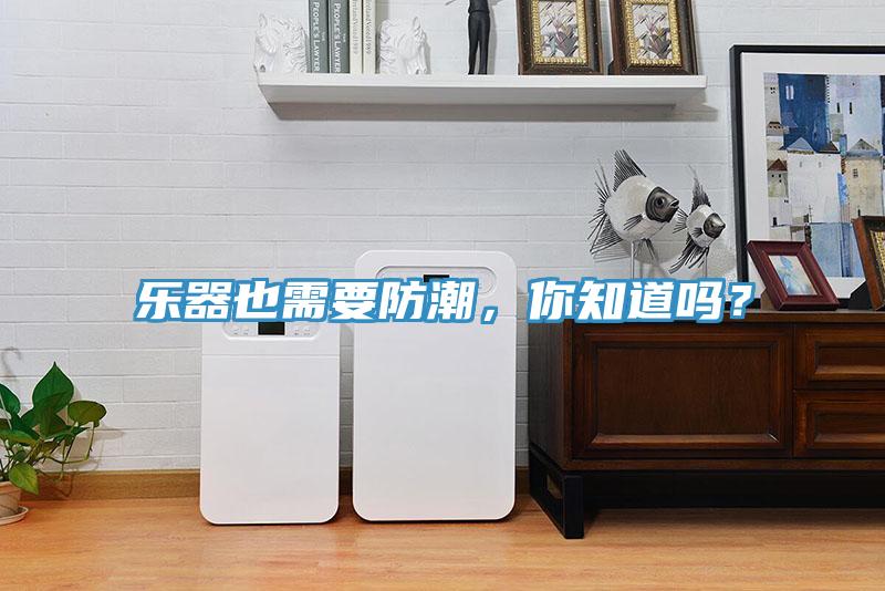 樂器也需要防潮，你知道嗎？