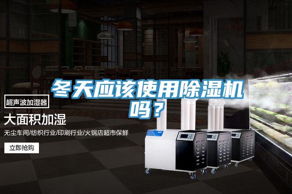 冬天應該使用除濕機嗎?