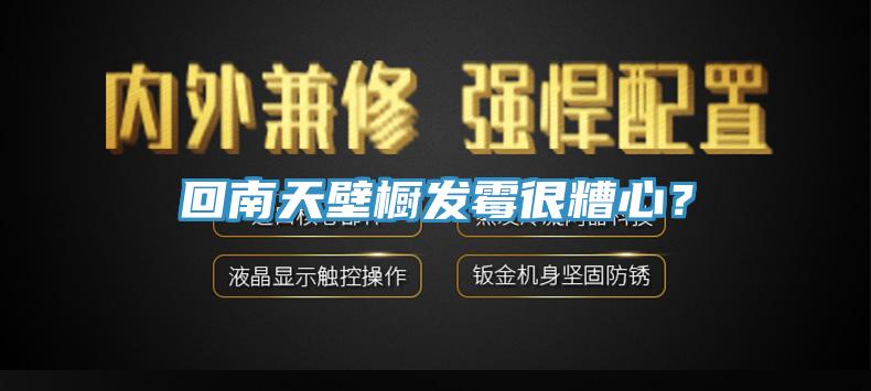 回南天壁櫥發(fā)霉很糟心?