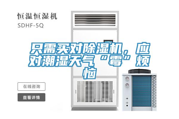 只需買對(duì)除濕機(jī),應(yīng)對(duì)潮濕天氣“霉”煩惱
