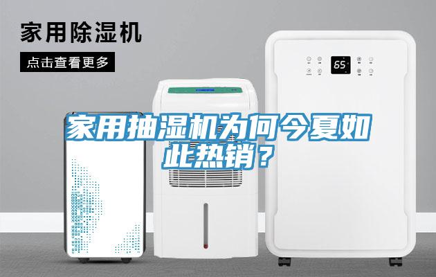 家用抽濕機為何今夏如此熱銷？