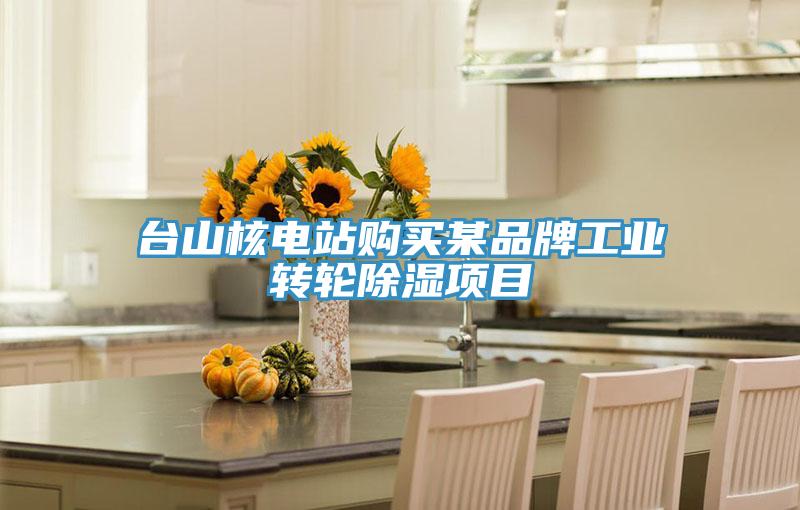 臺(tái)山核電站購(gòu)買某品牌工業(yè)轉(zhuǎn)輪除濕項(xiàng)目
