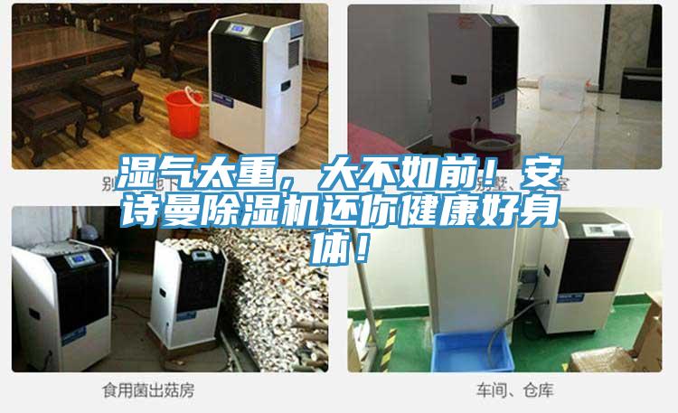 濕氣太重，大不如前！安詩曼除濕機(jī)還你健康好身體！