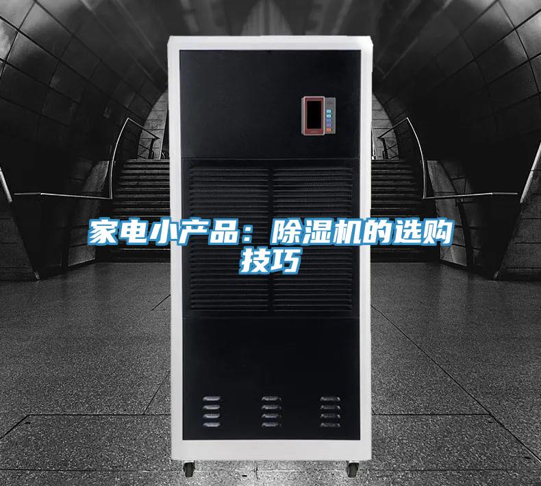 家電小產(chǎn)品:除濕機(jī)的選購(gòu)技巧