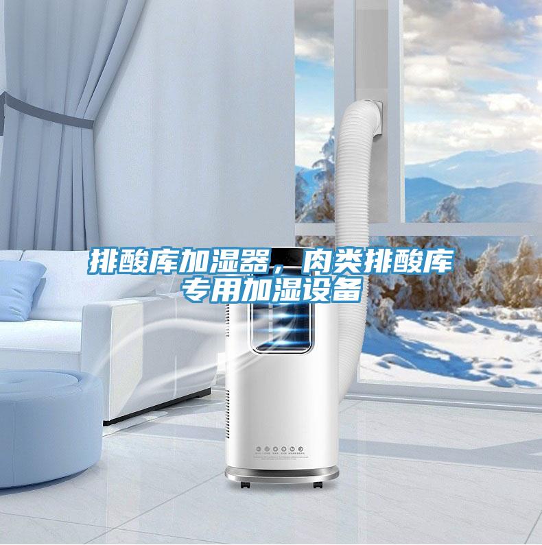 排酸庫加濕器,肉類排酸庫專用加濕設備