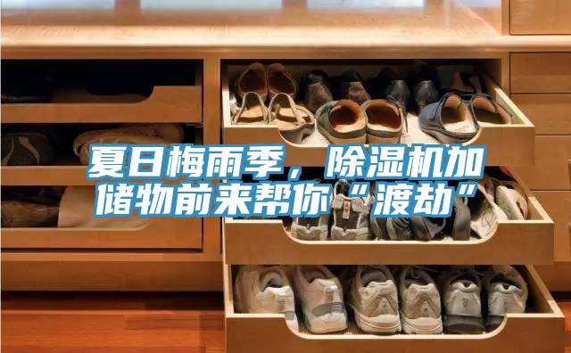夏日梅雨季,除濕機加儲物前來幫你“渡劫”