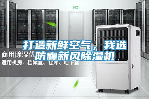打造新鮮空氣，我選防霾新風(fēng)除濕機(jī)