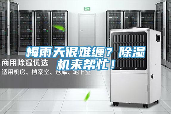 梅雨天很難纏？除濕機(jī)來(lái)幫忙！