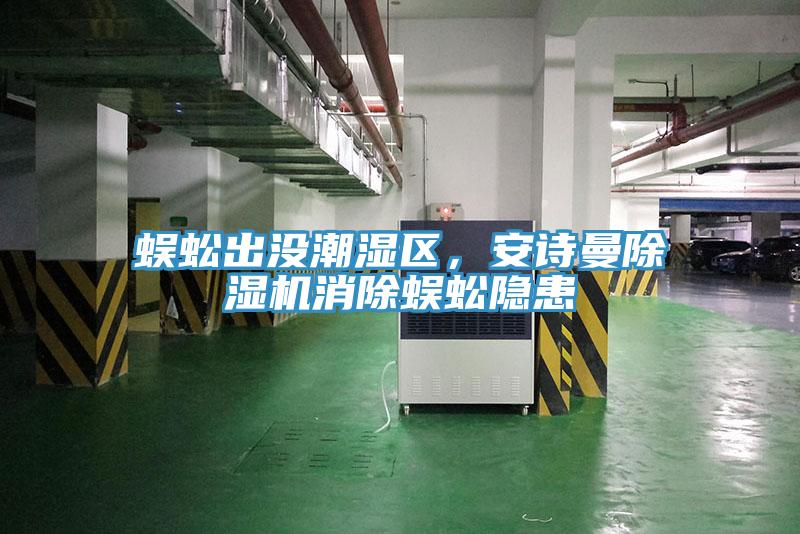 蜈蚣出沒潮濕區,安詩曼除濕機消除蜈蚣隱患