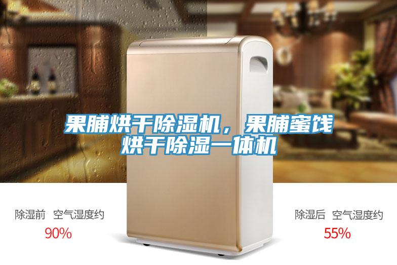 果脯烘干除濕機，果脯蜜餞烘干除濕一體機