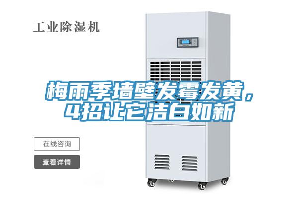 梅雨季墻壁發霉發黃，4招讓它潔白如新