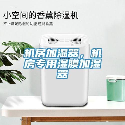 機(jī)房加濕器,機(jī)房專(zhuān)用濕膜加濕器