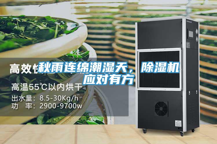 秋雨連綿潮濕天,除濕機應(yīng)對有方