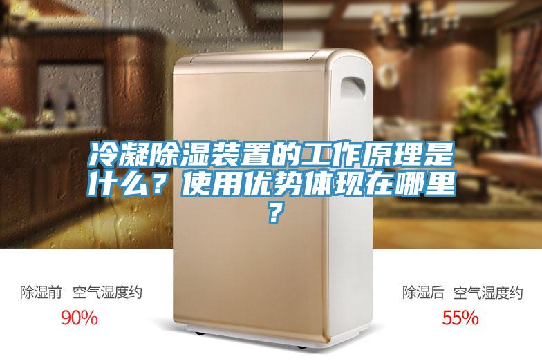 冷凝除濕裝置的工作原理是什么?使用優勢體現在哪里?