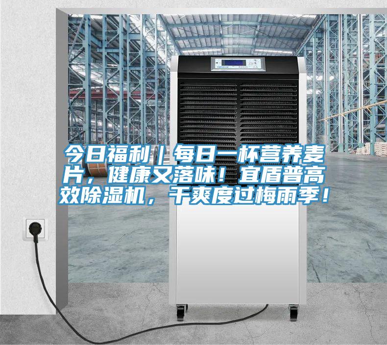今日福利|每日一杯營養麥片,健康又落味!宜盾普高效除濕機,干爽度過梅雨季!