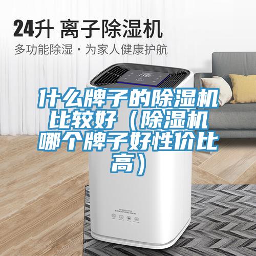 什么牌子的除濕機比較好(除濕機哪個牌子好性價比高)