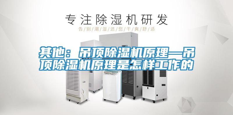 其他:吊頂除濕機(jī)原理—吊頂除濕機(jī)原理是怎樣工作的