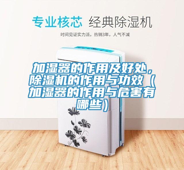 加濕器的作用及好處,除濕機的作用與功效(加濕器的作用與危害有哪些)