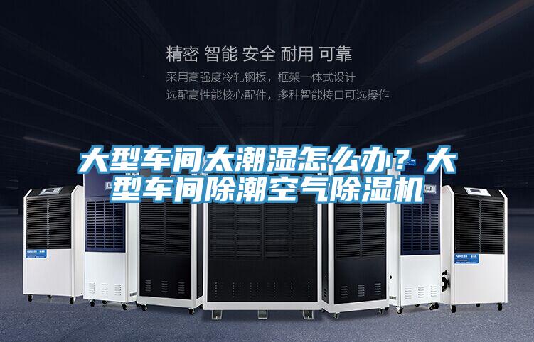大型車間太潮濕怎么辦?大型車間除潮空氣除濕機