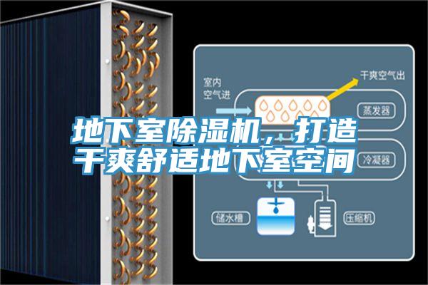 地下室除濕機(jī),打造干爽舒適地下室空間