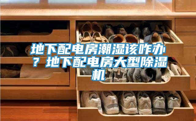 地下配電房潮濕該咋辦?地下配電房大型除濕機(jī)