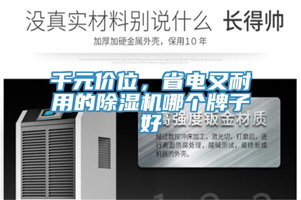 千元價位,省電又耐用的除濕機哪個牌子好