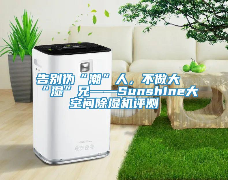 告別偽“潮”人，不做大“濕”兄——Sunshine大空間除濕機評測