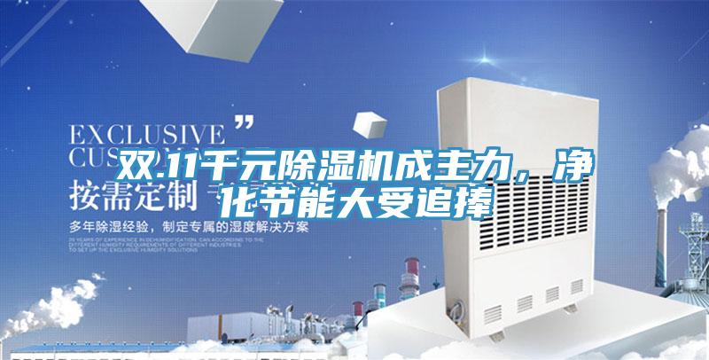 雙.11千元除濕機成主力,凈化節(jié)能大受追捧