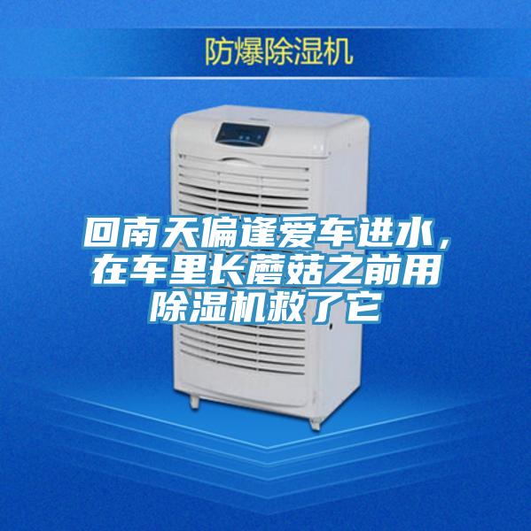 回南天偏逢愛車進水，在車里長蘑菇之前用除濕機救了它