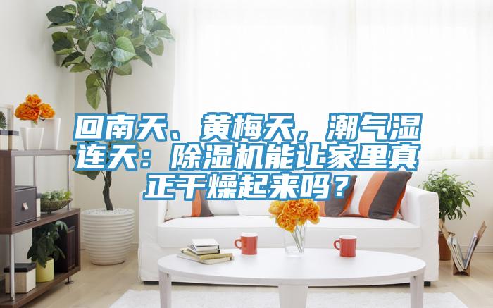 回南天、黃梅天，潮氣濕連天：除濕機能讓家里真正干燥起來嗎？