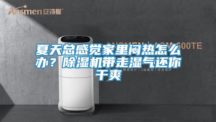 夏天總感覺家里悶熱怎么辦？除濕機帶走濕氣還你干爽