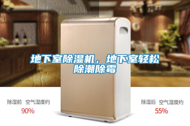 地下室除濕機(jī),地下室輕松除潮除霉