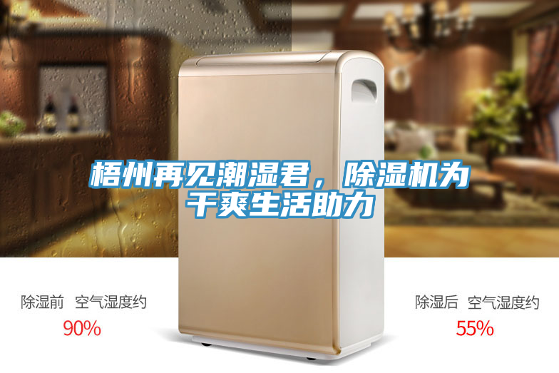 梧州再見潮濕君,除濕機(jī)為干爽生活助力