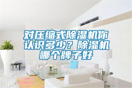 對壓縮式除濕機你認識多少？除濕機哪個牌子好