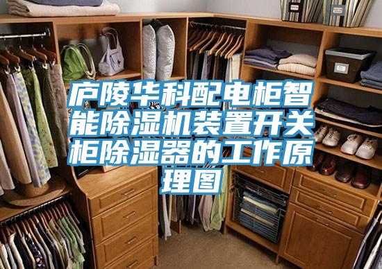 廬陵華科配電柜智能除濕機裝置開關(guān)柜除濕器的工作原理圖