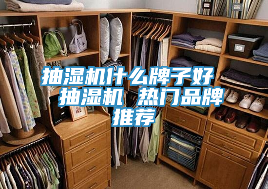 抽濕機什么牌子好 抽濕機 熱門品牌推薦