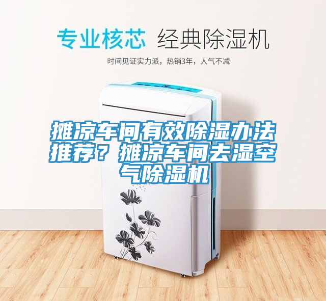 攤涼車(chē)間有效除濕辦法推薦？攤涼車(chē)間去濕空氣除濕機(jī)