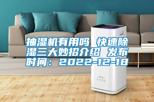 抽濕機有用嗎 快速除濕三大妙招介紹 發布時間:2022-12-18