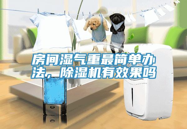 房間濕氣重最簡單辦法，除濕機有效果嗎