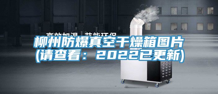 柳州防爆真空干燥箱圖片(請查看:2022已更新)