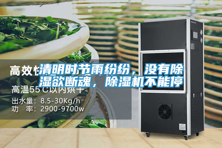 清明時節雨紛紛,沒有除濕欲斷魂,除濕機不能停