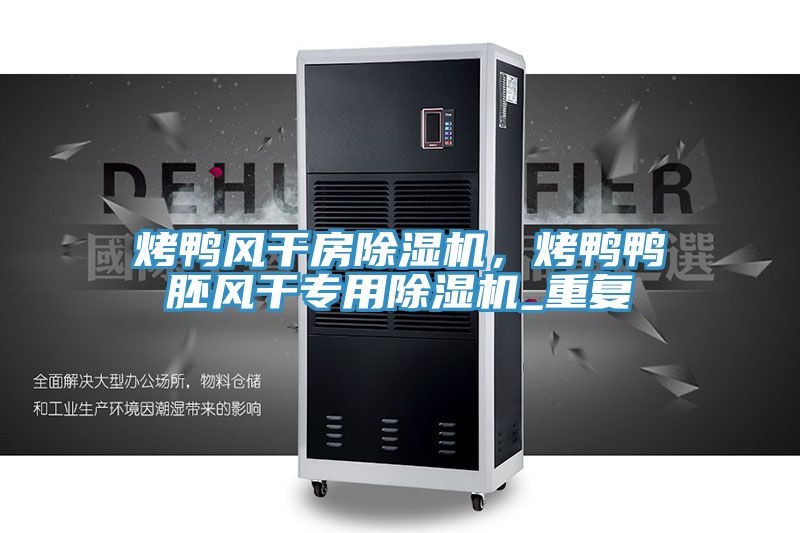 烤鴨風(fēng)干房除濕機(jī),烤鴨鴨胚風(fēng)干專用除濕機(jī)_重復(fù)