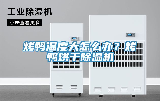 烤鴨濕度大怎么辦?烤鴨烘干除濕機(jī)
