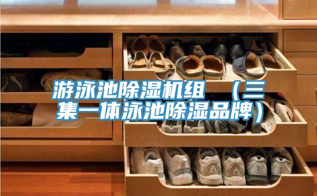游泳池除濕機(jī)組 (三集一體泳池除濕品牌)